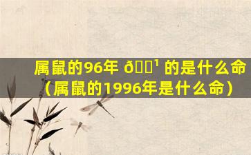 属鼠的96年 🌹 的是什么命（属鼠的1996年是什么命）